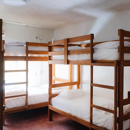 Desert Heart Hostel Сан-Хосе-дель-Кабо Экстерьер фото